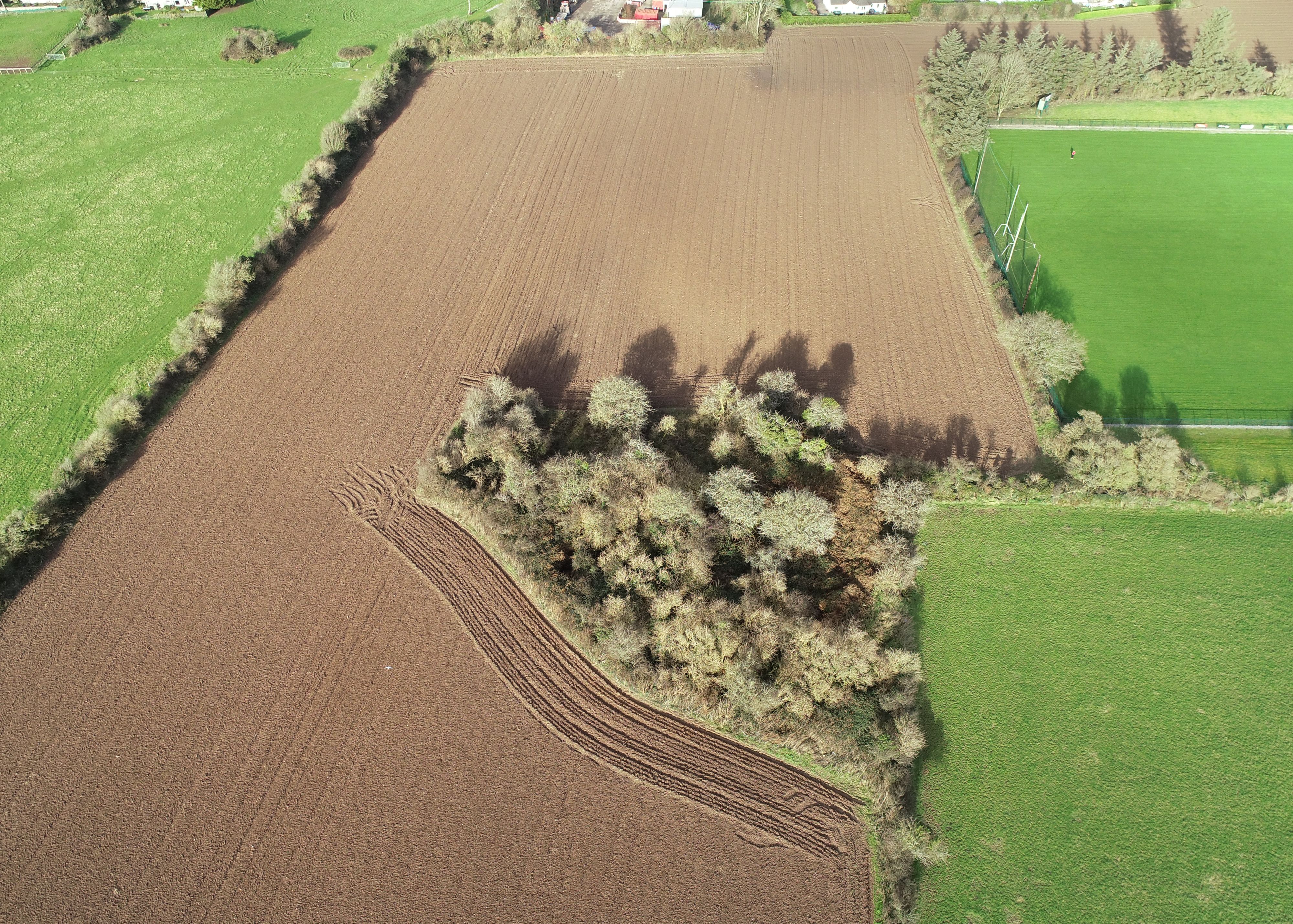 Aerial drone survey of a site for insurance assessment
