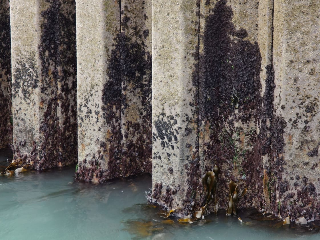 By capturing data at low water we wer able to get a good idea of the condition of the structure below the water line.