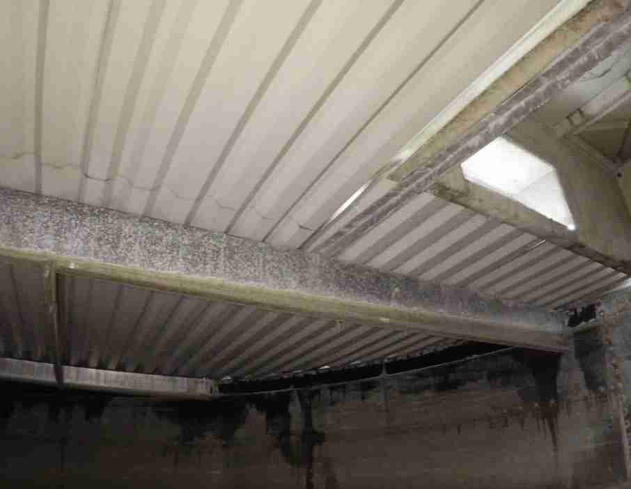 Water tank internal roof structure with roof members contaminated from water immersion